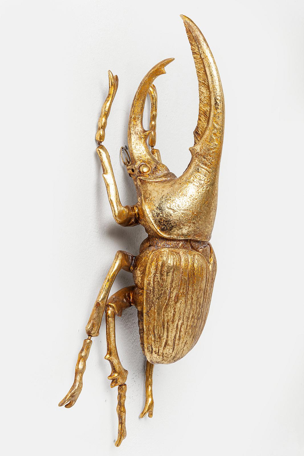 gold atlas beetle wall decoration